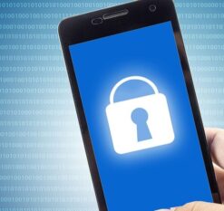 提供各类信息查询